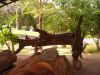 DSCN5021.JPG