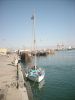 Filename=O_47_part_mellett_allva.JPG
Filesize=622KB
Dimensions=1200x1600
Date added=Mar 27, 2009 O_47_part_mellett_allva.JPG
