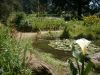 SL166_a_park_hangulata.JPG