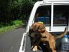 DSCN3379.JPG