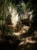 Filename=thai_106_Ko_Hong_erdo.JPG
Filesize=1004KB
Dimensions=1920x2560
Date added=Jan 30, 2009 thai_106_Ko_Hong_erdo.JPG
