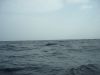 DSCN0582.JPG